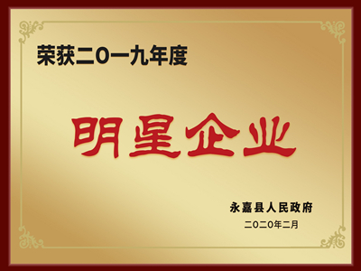 Xiaofeixia (SVIYA) Group Got Star Enterprise Award
